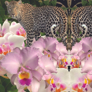 Orchid Leopard Fantasy