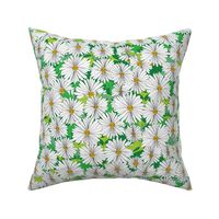 Daisy, Daisy Ditsy Floral green