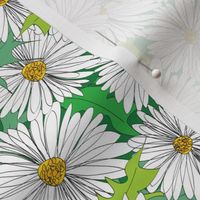 Daisy, Daisy Ditsy Floral green