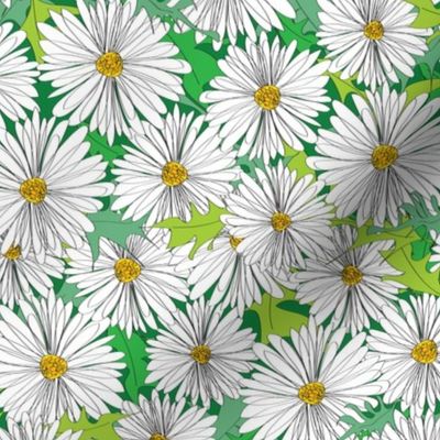 Daisy, Daisy Ditsy Floral green