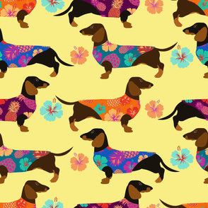 Darling Dachshunds (V1 Large)