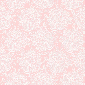 Peacock Illustration in Pink & ivory 