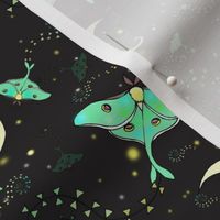 Luna Moth Kites