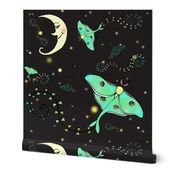 Luna Moth Kites