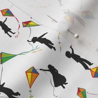 kids and kites