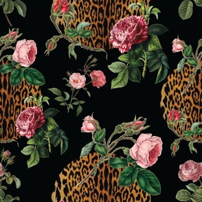 Rosey Leopard