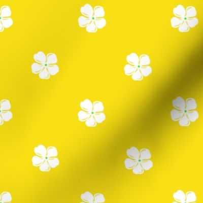Baby Plumeria repeat-yellow