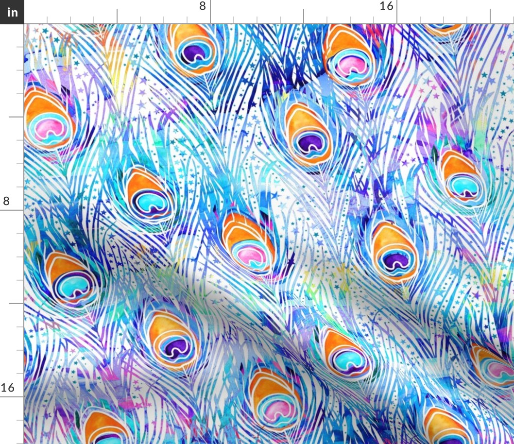 Peacock feathers - white background