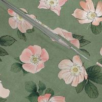 Wild Rose on Sage Linen, flower, hand drawn, pink, green, floral, baby girl, kids, nursery, large scale,  non-directional