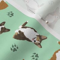 Tiny Cardigan Welsh Corgi - green