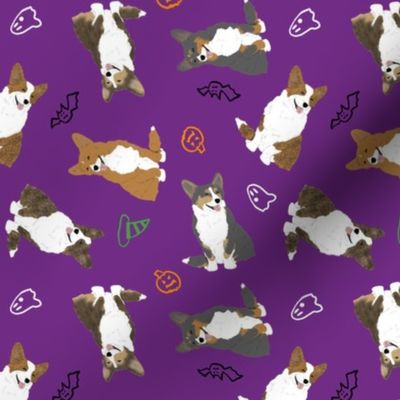 Tiny Cardigan Welsh Corgi - Halloween