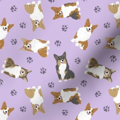 Tiny Pembroke Welsh Corgi - purple