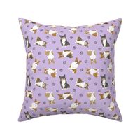 Tiny Pembroke Welsh Corgi - purple