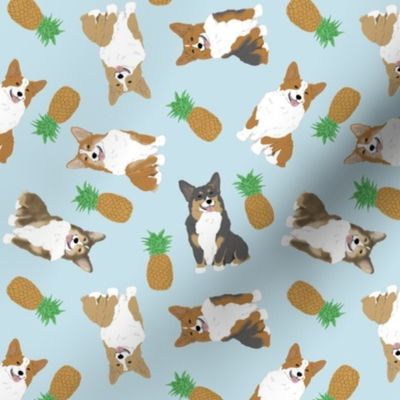 Tiny Pembroke Welsh Corgi - pineapples