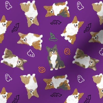 Tiny fluffy Pembroke Welsh Corgi - Halloween