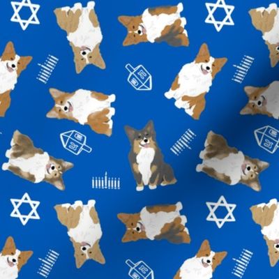 Tiny fluffy Pembroke Welsh Corgi - Hanukkah