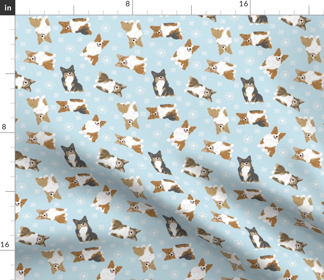 Tiny fluffy Pembroke Welsh Corgi - winter snowflakes