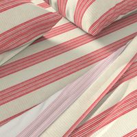 Coral Farmhouse Stripe  