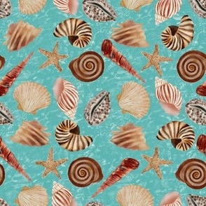 Sea Shells