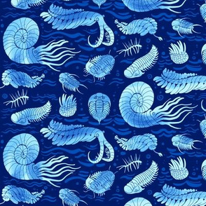 Cambrian sea animals: Trilobites, Anomalocaris and others