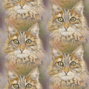 THE LOVELY TABBY CAT YELLOW CREAM BEIGE 3 chalk pastel drawing