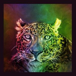 6" LEOPARD JAGUAR PANTHER JUNGLE FELINE 2 MULTICOLOR CHALK PASTEL DRAWING SQUARE framed rainbow