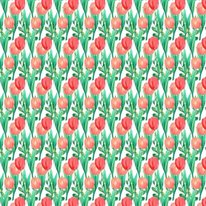 Spring tulips