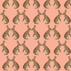 Bunny kisses in coral