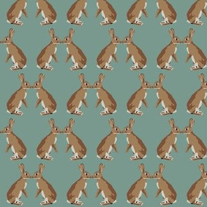 Bunny kisses in teal