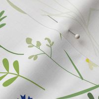 Simple graphic wild flowers on white