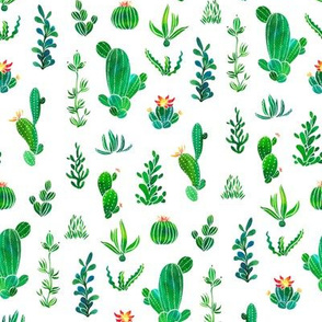 Watercolor cacti collection, Cactus Country, Australia