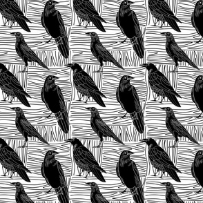 Crows in Black and White