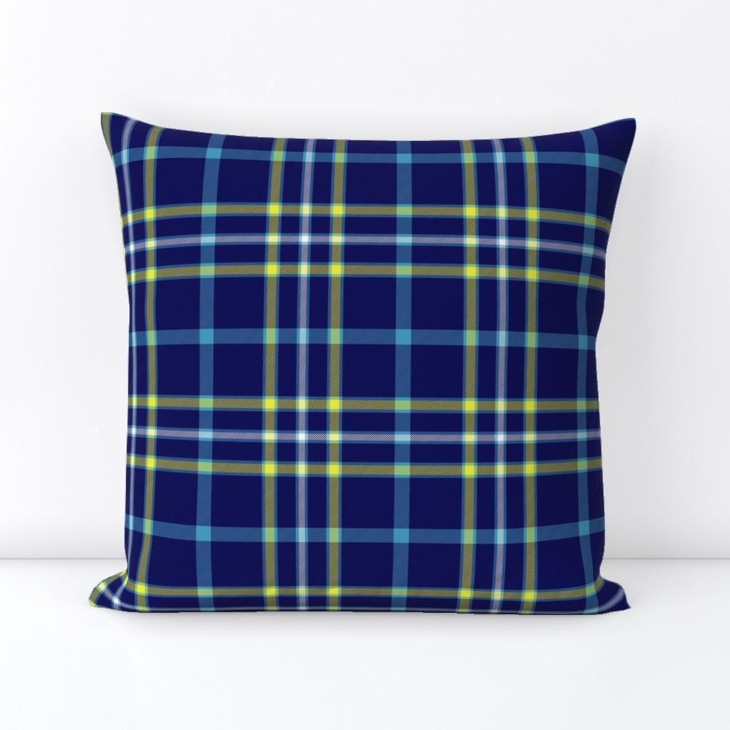 Alaska modern flag tartan, 6" bright