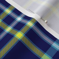 Alaska modern flag tartan, 6" bright