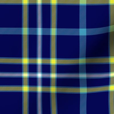 Alaska modern flag tartan, 6" bright