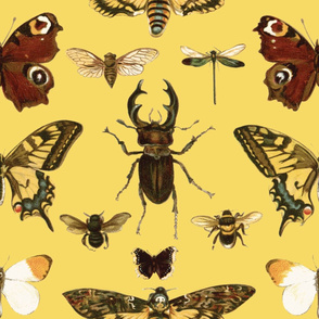 Entomology on Yellow