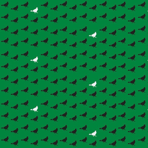 pigeons green