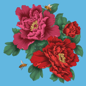 Large scale Pink and Red Peony Flowers on Blue Background