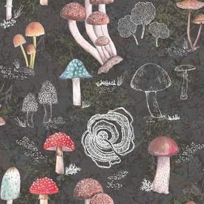 Mushroom Forest