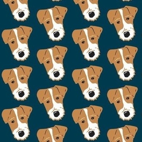 Wire Fox Terrier - Jack Russell Terrier - Tan with Navy blue