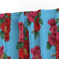 Pink and Red Peony Flowers on Blue Background - Smaller Version