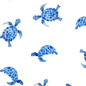 Marine turtles • watercolor