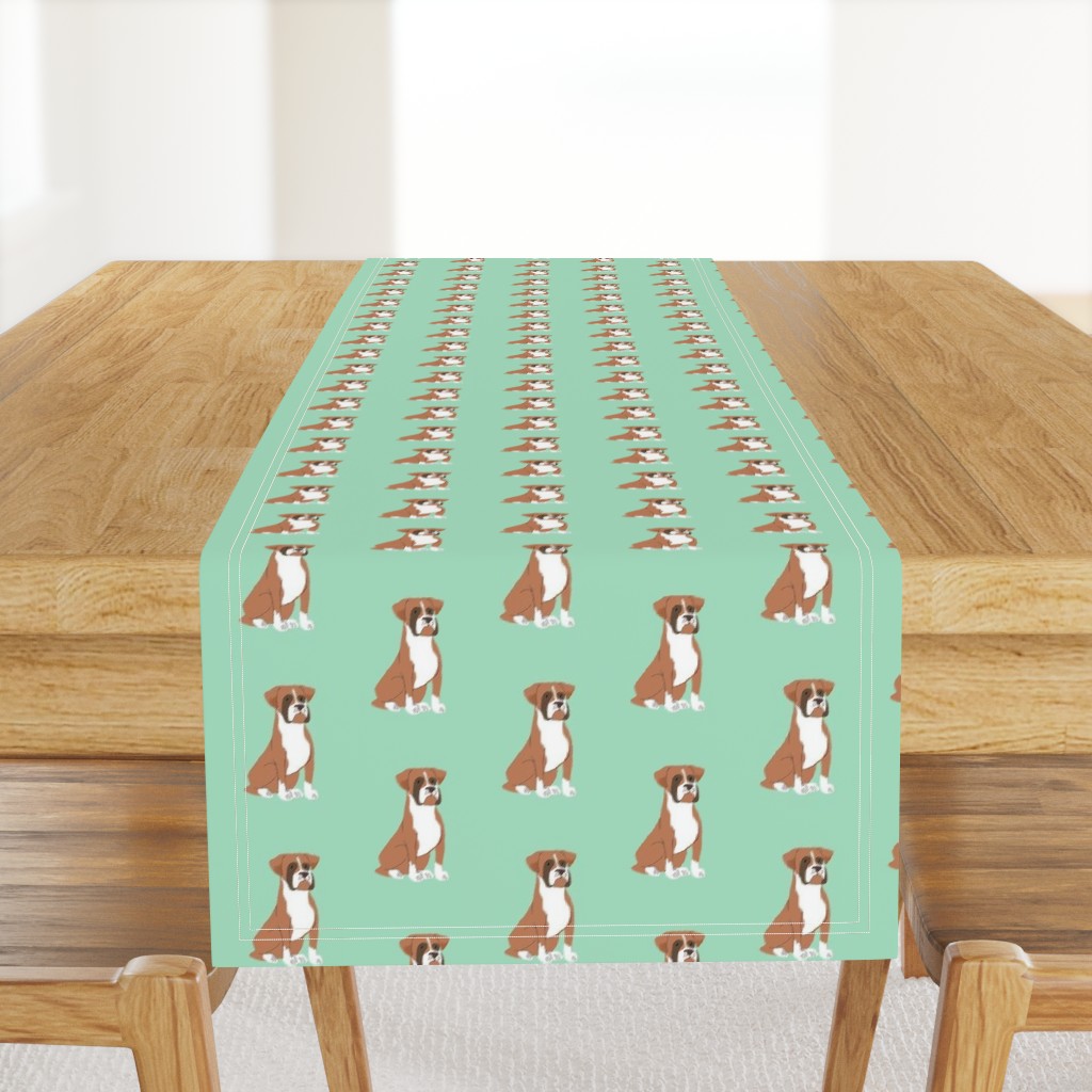 Sweet brown Boxer dog on mint background