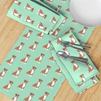 Sweet brown Boxer dog on mint background