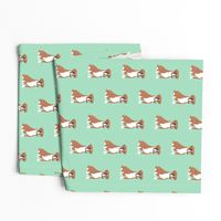 Sweet brown Boxer dog on mint background