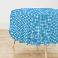 JP11 - Ruched Plaid in Pastel Pink and Aqua Blue