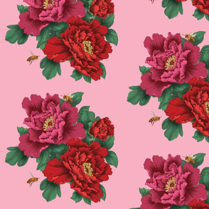 Pink and Red Peony Flowers on Pink Background