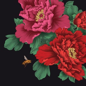 Large scale Pink and Red Peony Flowers on Black - Larger Size