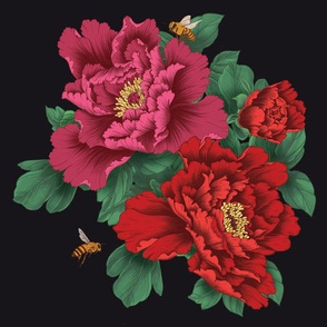 Pink and Red Peony Flowers on Black - Smaller Size