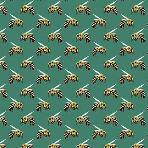 BUZZ BUZZ on teal 